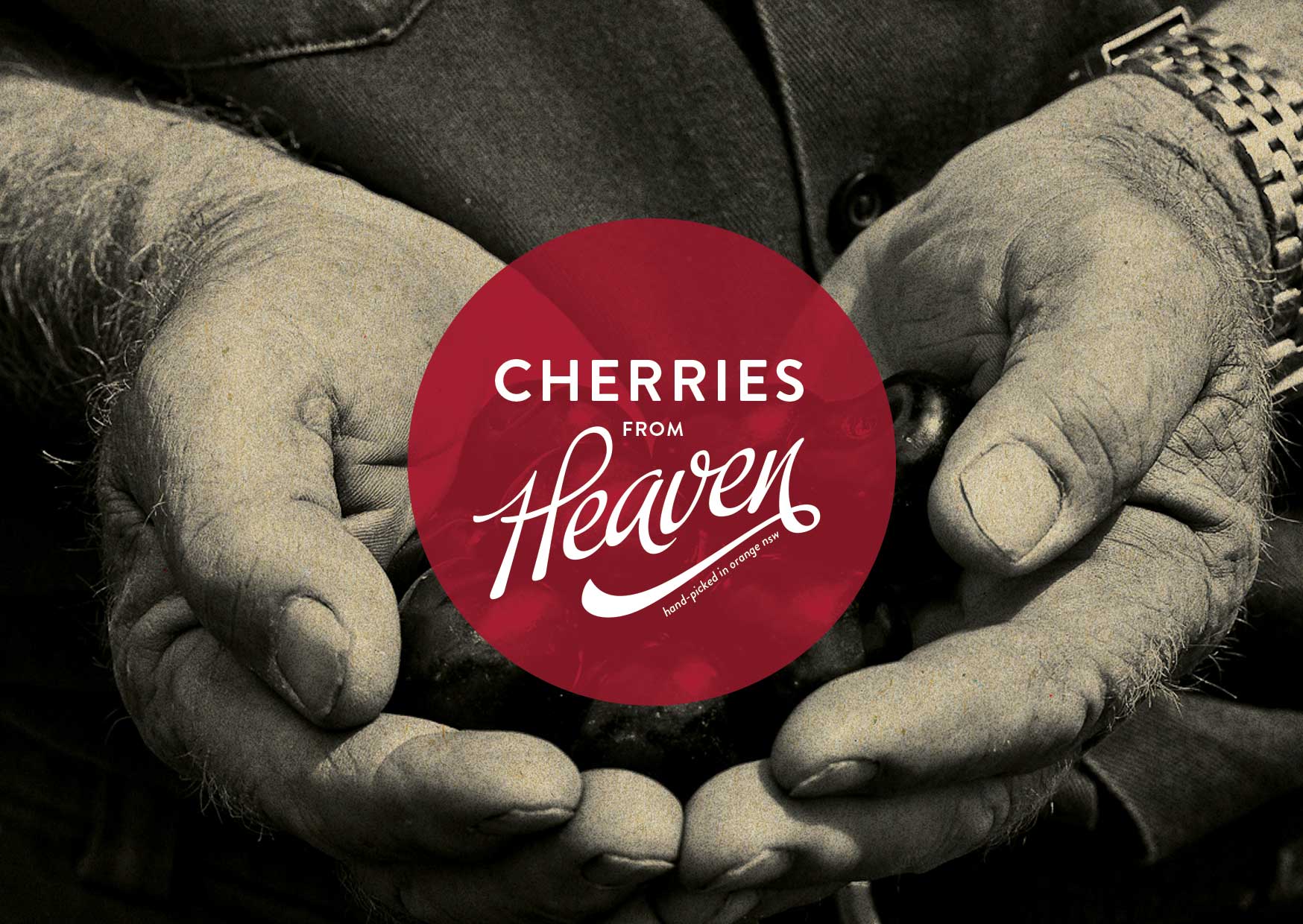Cherries from Heaven logo