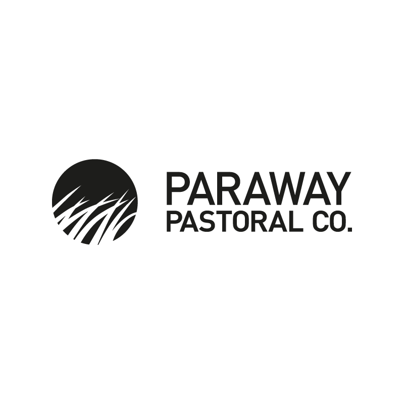 Paraway Logo